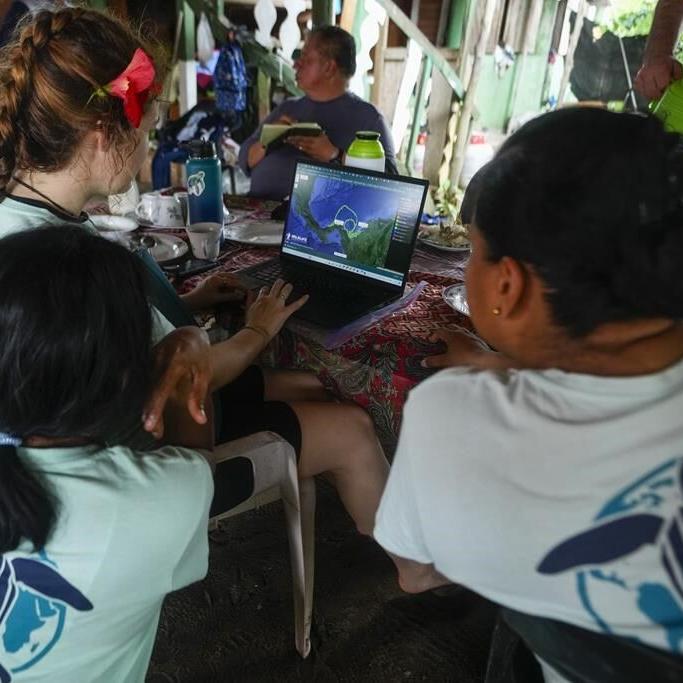 In Panama, legal rights given to sea turtles, boosting the 'rights of nature' movement